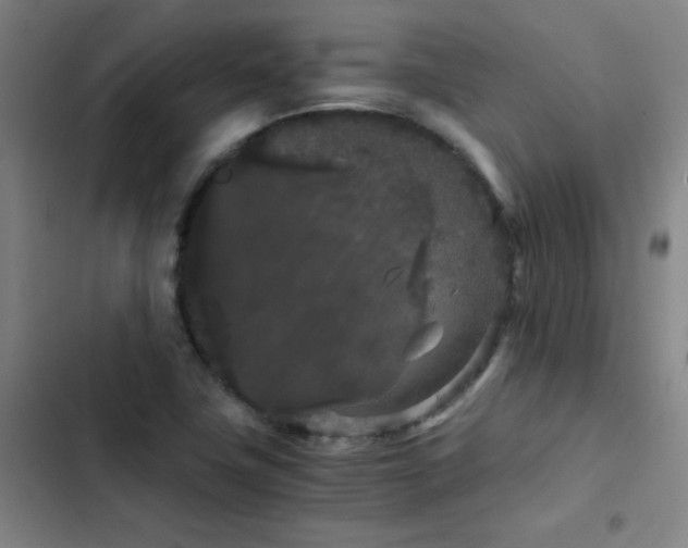 X0000103311411200808291418
