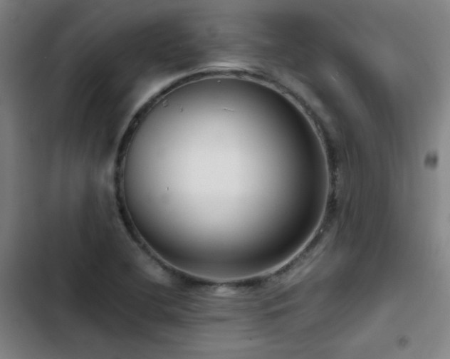 X0000103311412200808291418