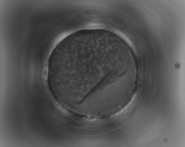 X0000103311413200808291418