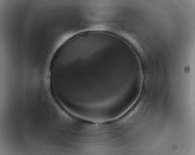 X0000103311414200808291418