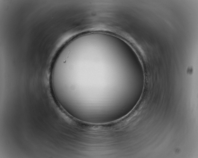 X0000103311416200808291418