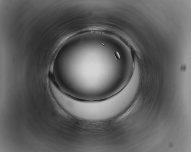 X0000103311417200808291418