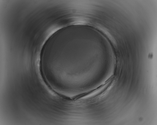 X0000103311418200808291418
