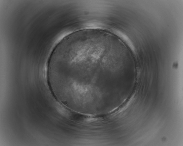 X0000103311419200808291418