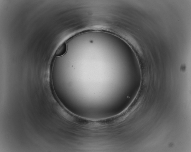 X0000103311420200808291418