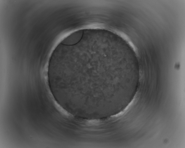 X0000103311421200808291418