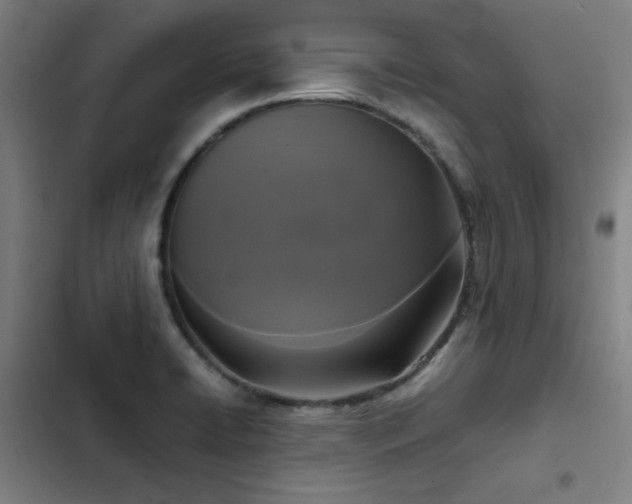 X0000103311422200808291418