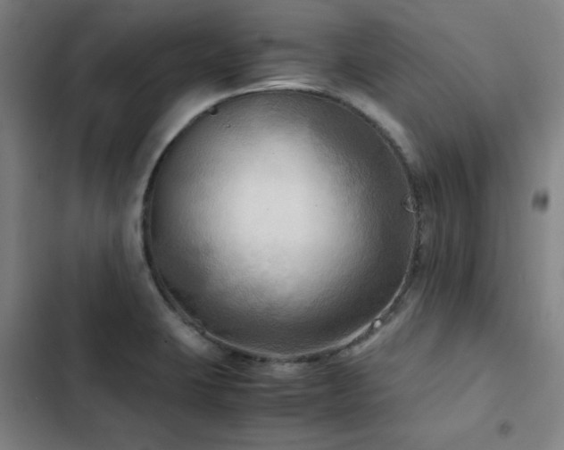 X0000103311423200808291418