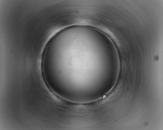 X0000103311424200808291418
