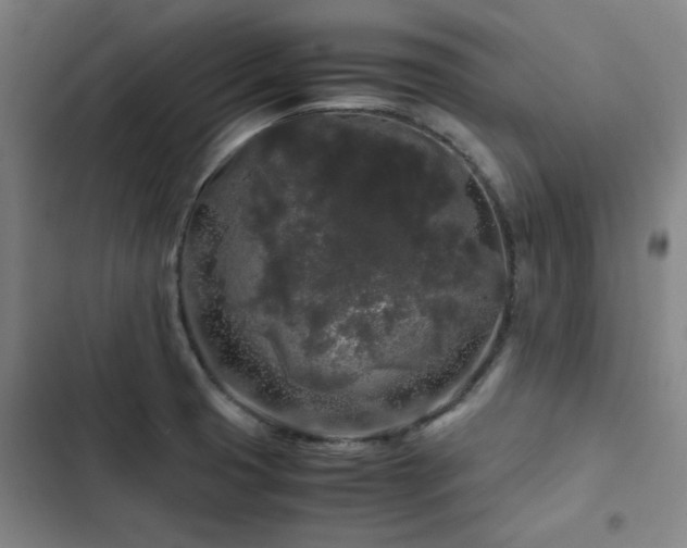 X0000103311425200808291418