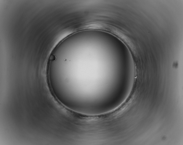 X0000103311426200808291418
