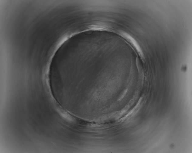 X0000103311427200808291418