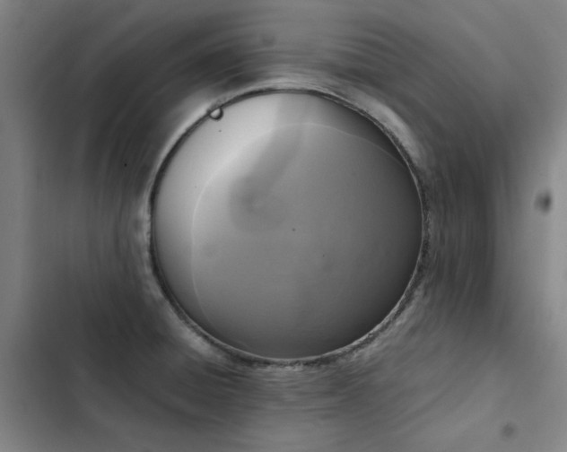 X0000103311428200808291418