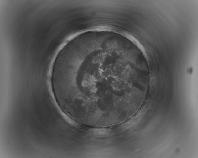 X0000103311429200808291418