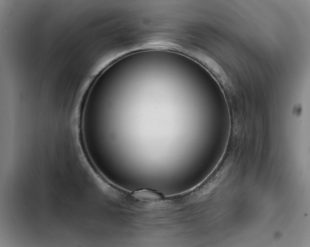 X0000103311430200808291418