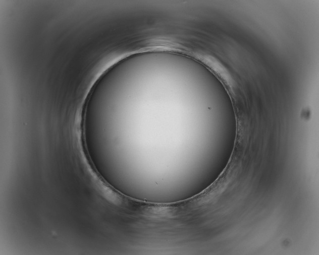 X0000103311431200808291418