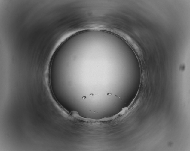 X0000103311432200808291418