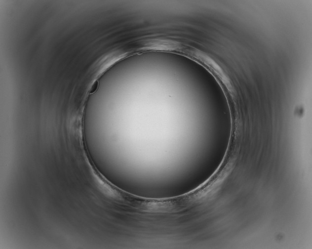 X0000103311433200808291418