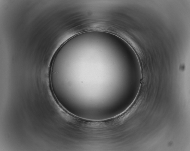 X0000103311434200808291418