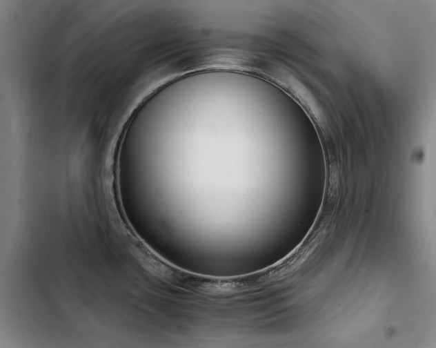 X0000103311435200808291418