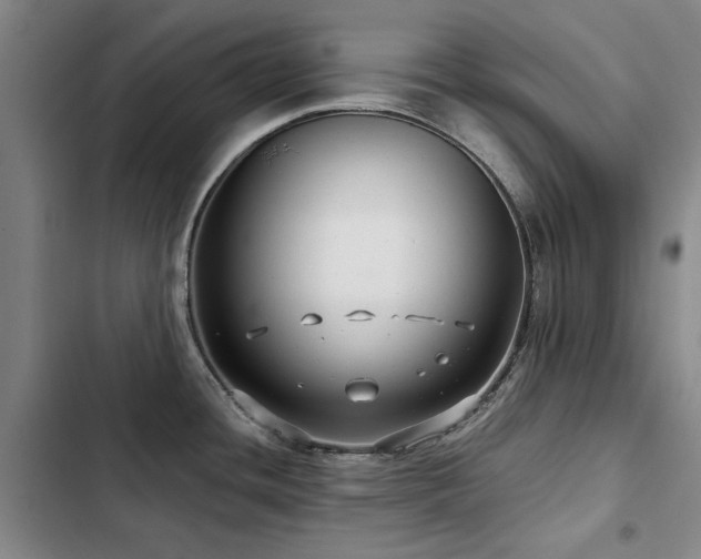 X0000103311436200808291418