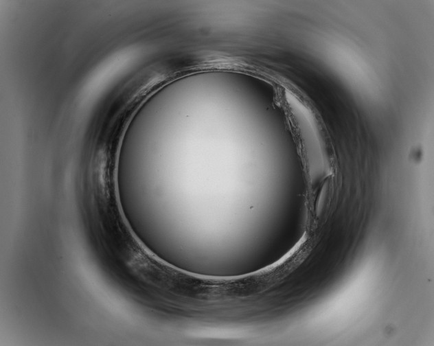 X0000103311438200808291418
