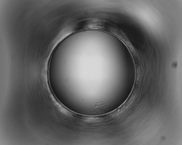 X0000103311439200808291418