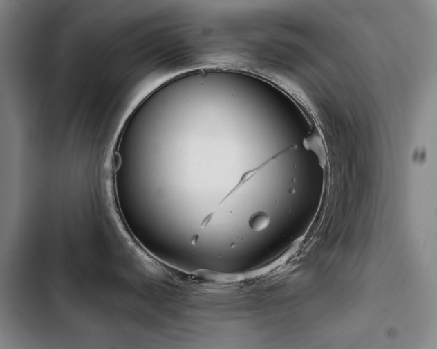 X0000103311440200808291418