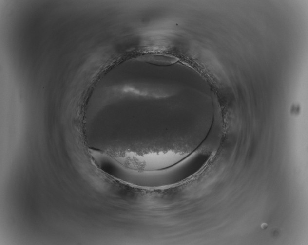 X0000103311441200808291418