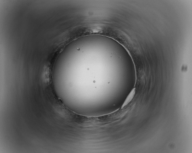 X0000103311442200808291418