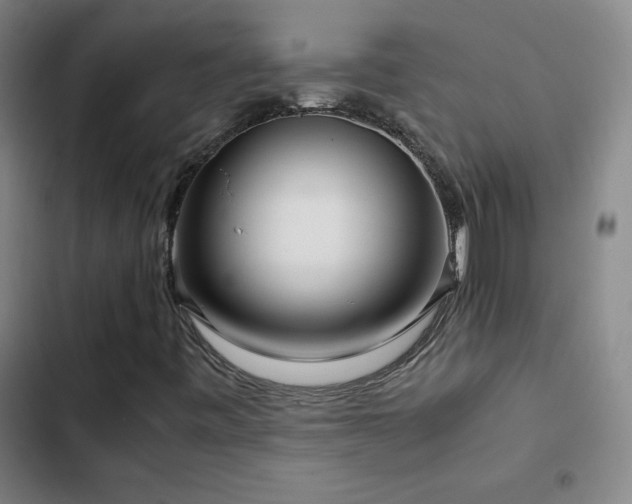 X0000103311443200808291418