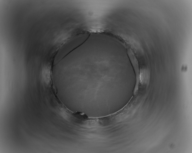 X0000103311444200808291418