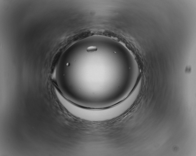 X0000103311445200808291418