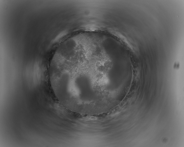 X0000103311446200808291418