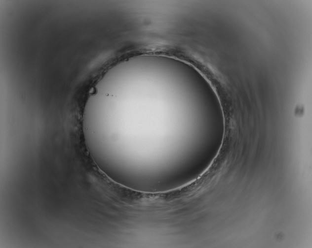 X0000103311447200808291418