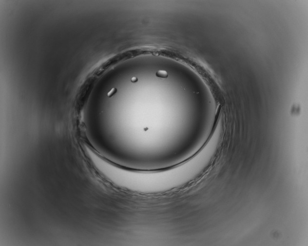 X0000103311448200808291418