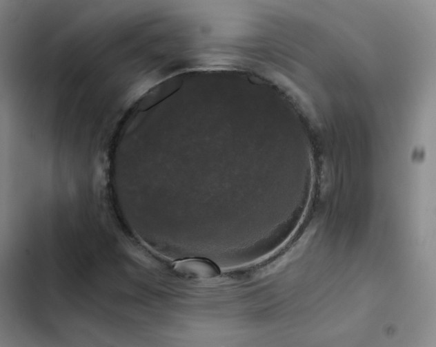 X0000103311449200808291418