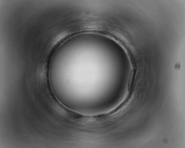 X0000103311450200808291418