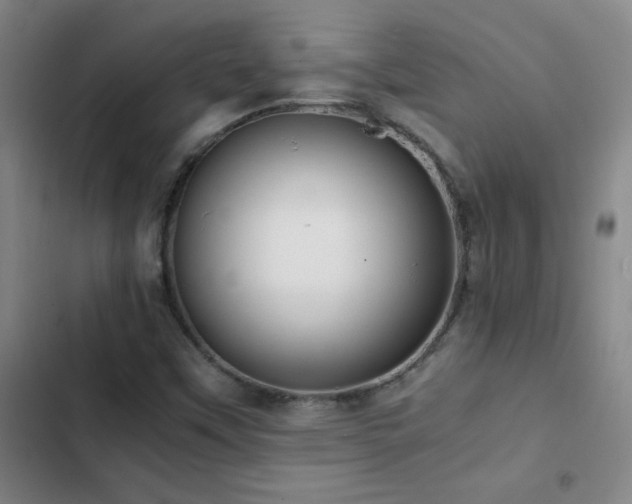 X0000103311451200808291418