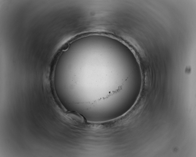 X0000103311452200808291418