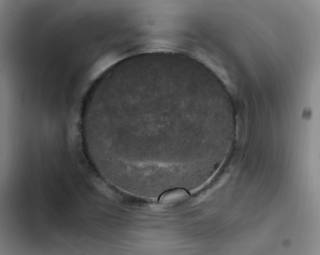 X0000103311453200808291417