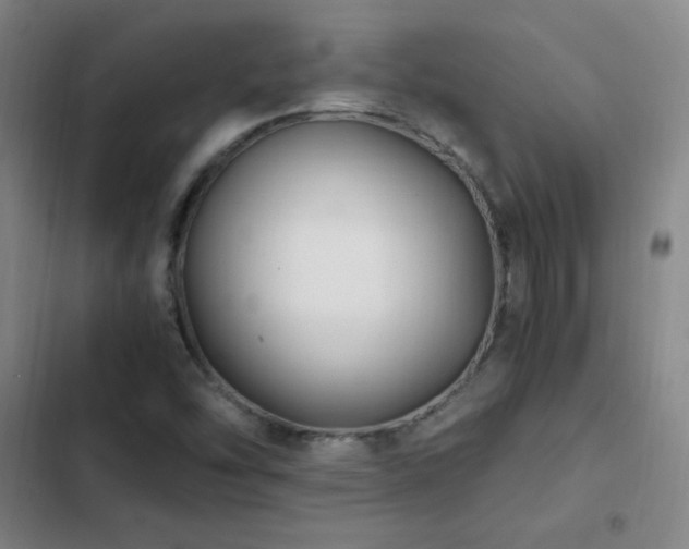 X0000103311454200808291417