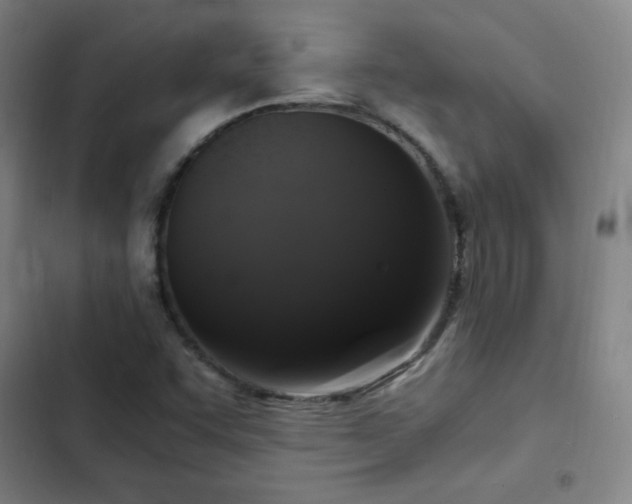 X0000103311455200808291417