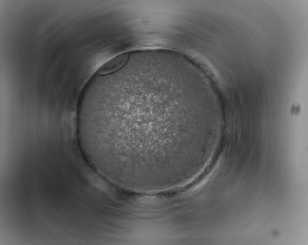 X0000103311457200808291417