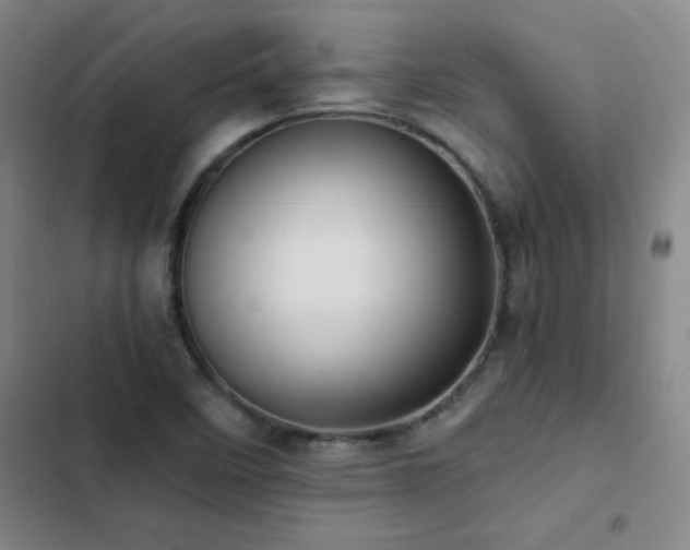 X0000103311458200808291417