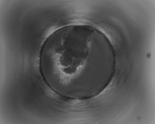 X0000103311459200808291417