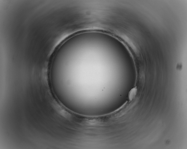 X0000103311460200808291417