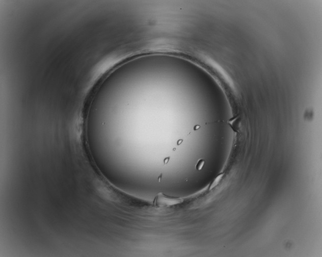 X0000103311461200808291417