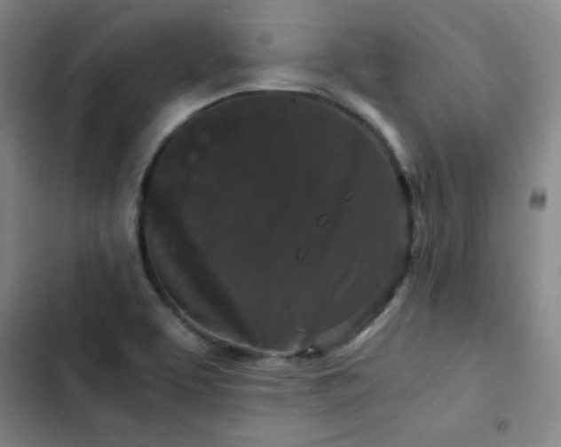 X0000103311463200808291417