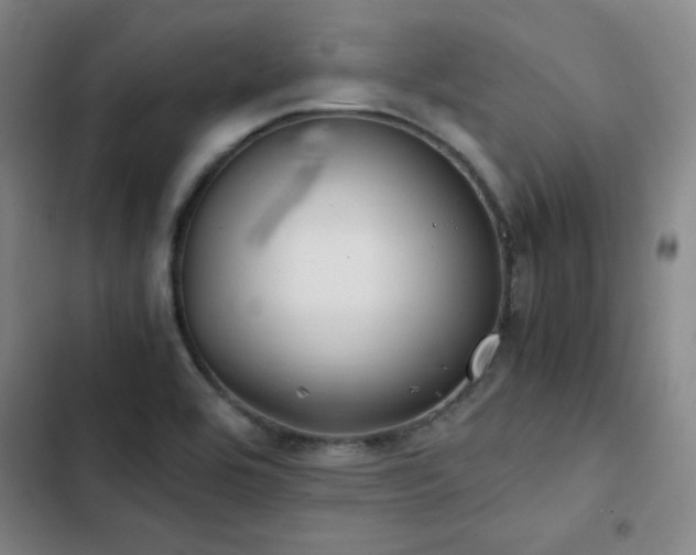 X0000103311464200808291417